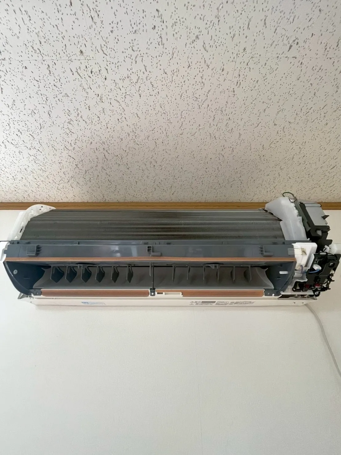 1dkふきあげ清掃