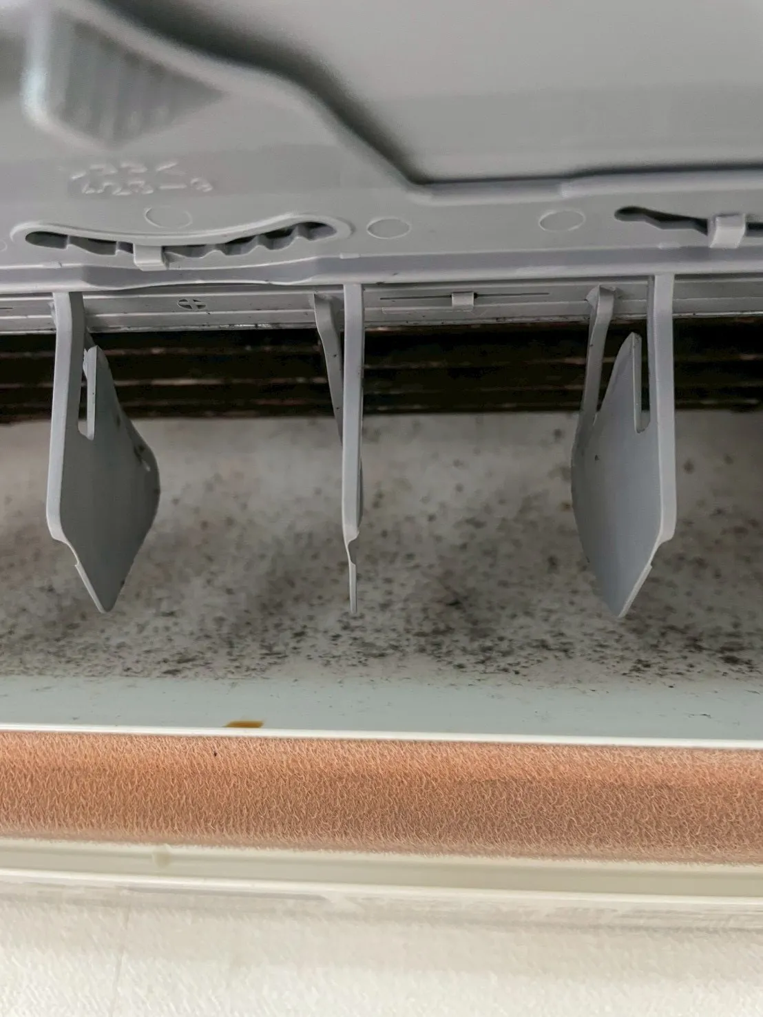 1dkふきあげ清掃