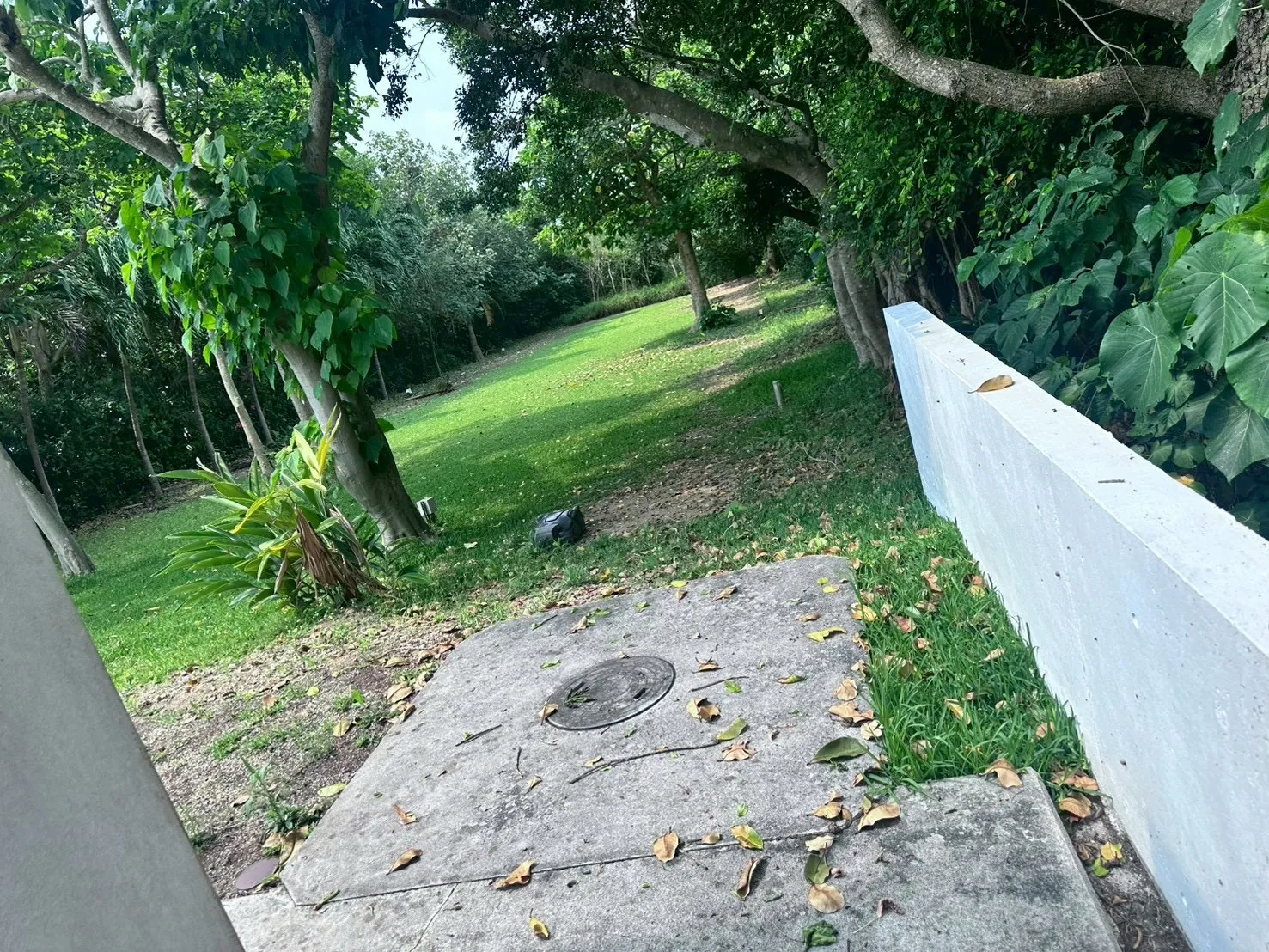 お庭定期管理　1回¥1,3000