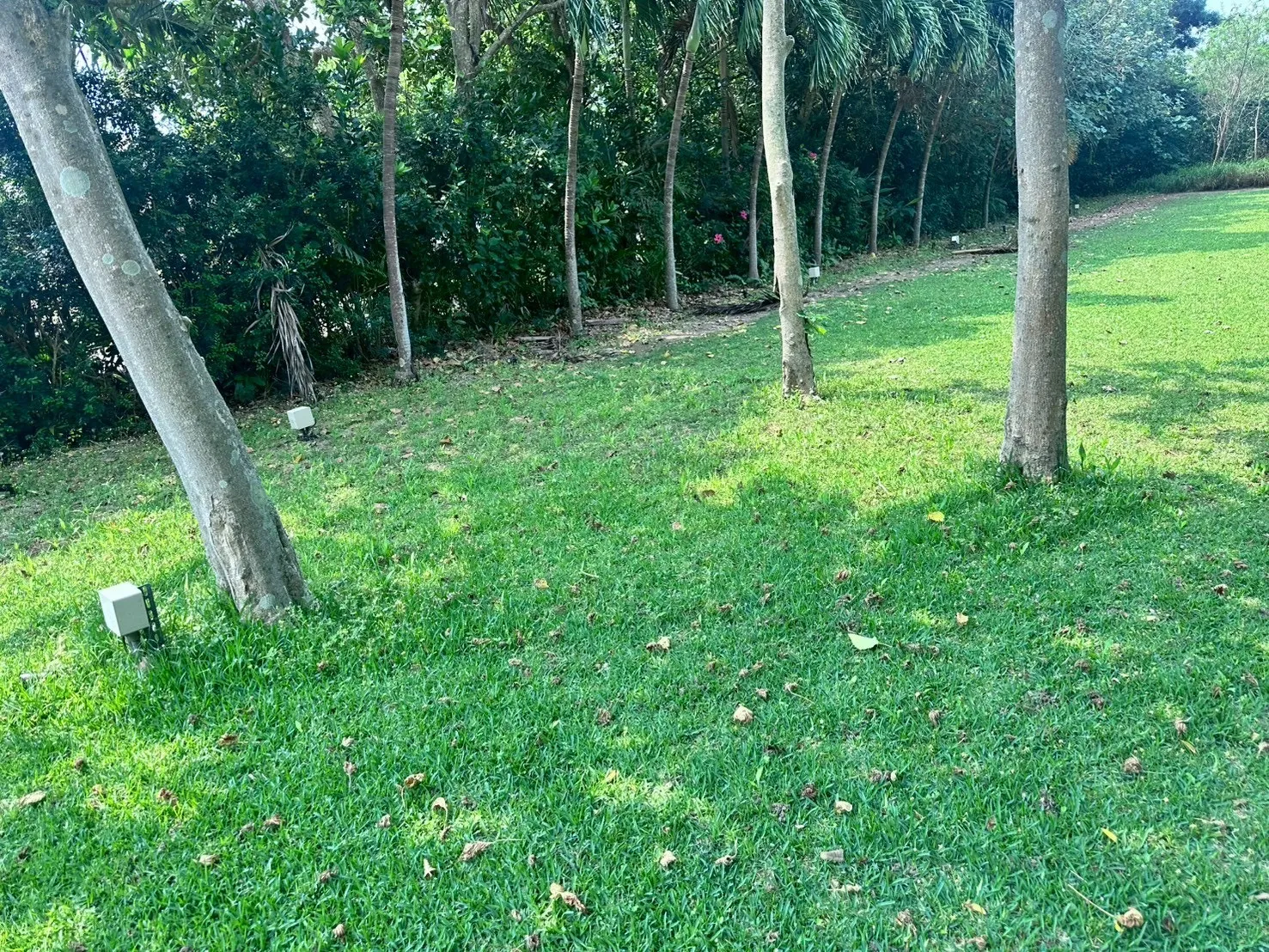 お庭定期管理　1回¥1,3000