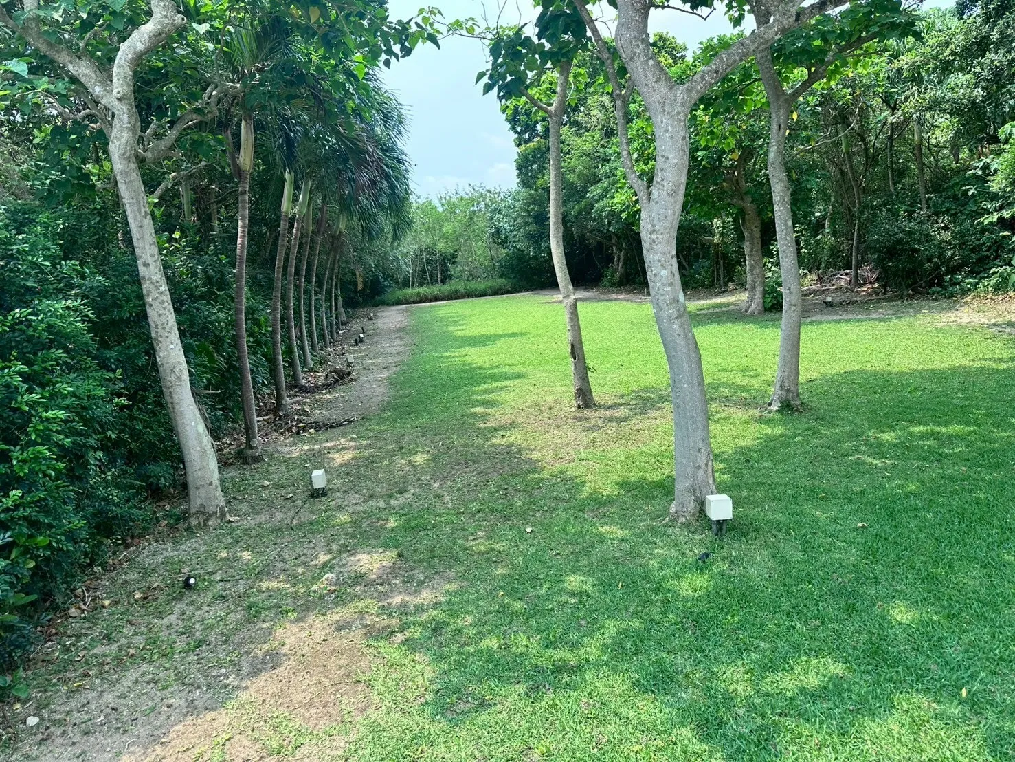 お庭定期管理　1回¥1,3000