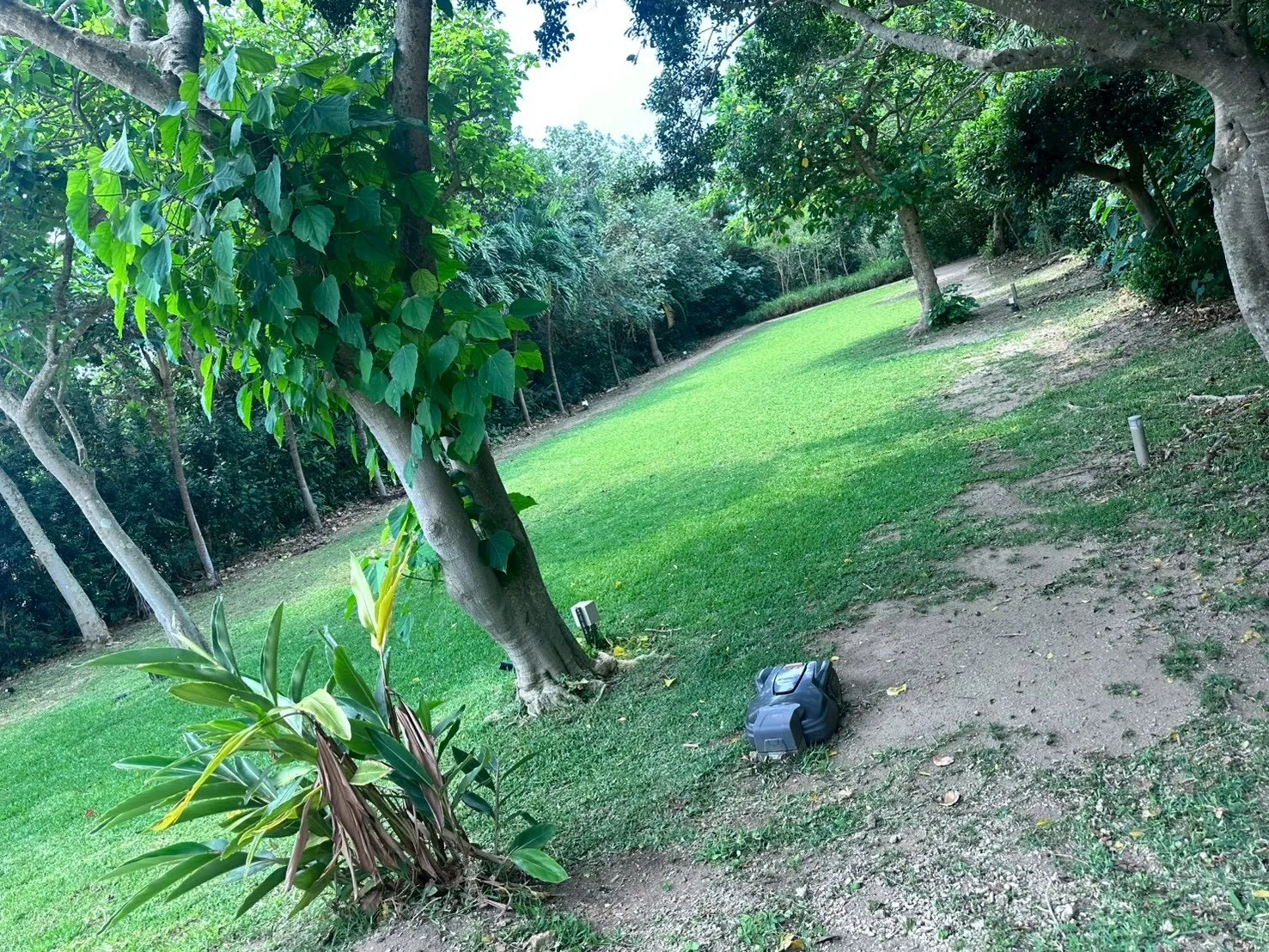 お庭定期管理　1回¥1,3000