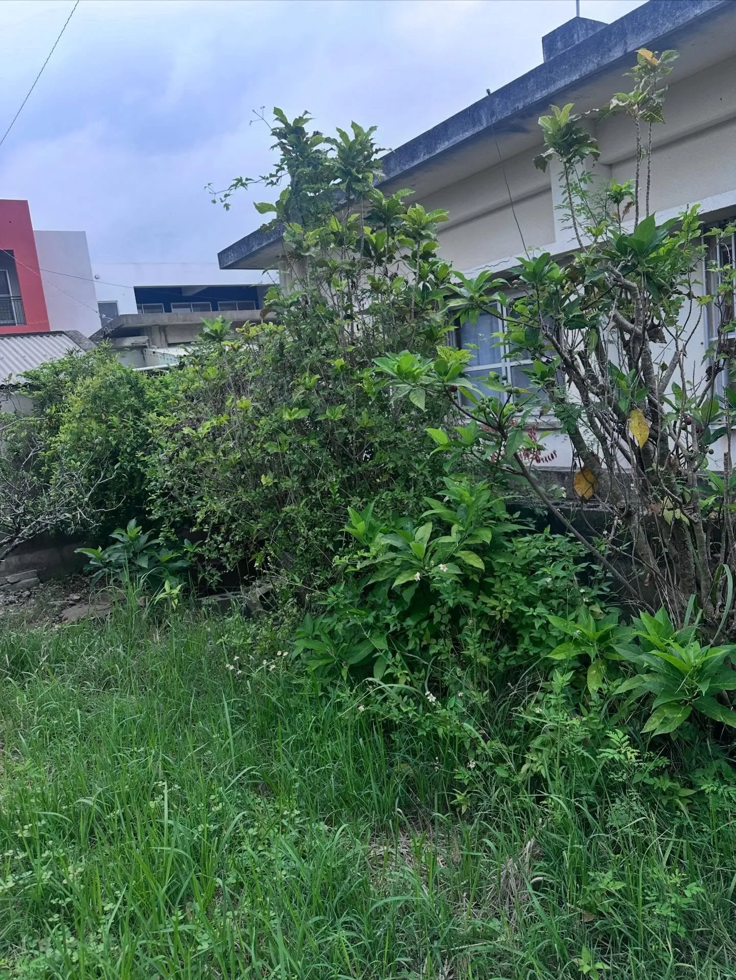 ご覧いただきありがとうございます