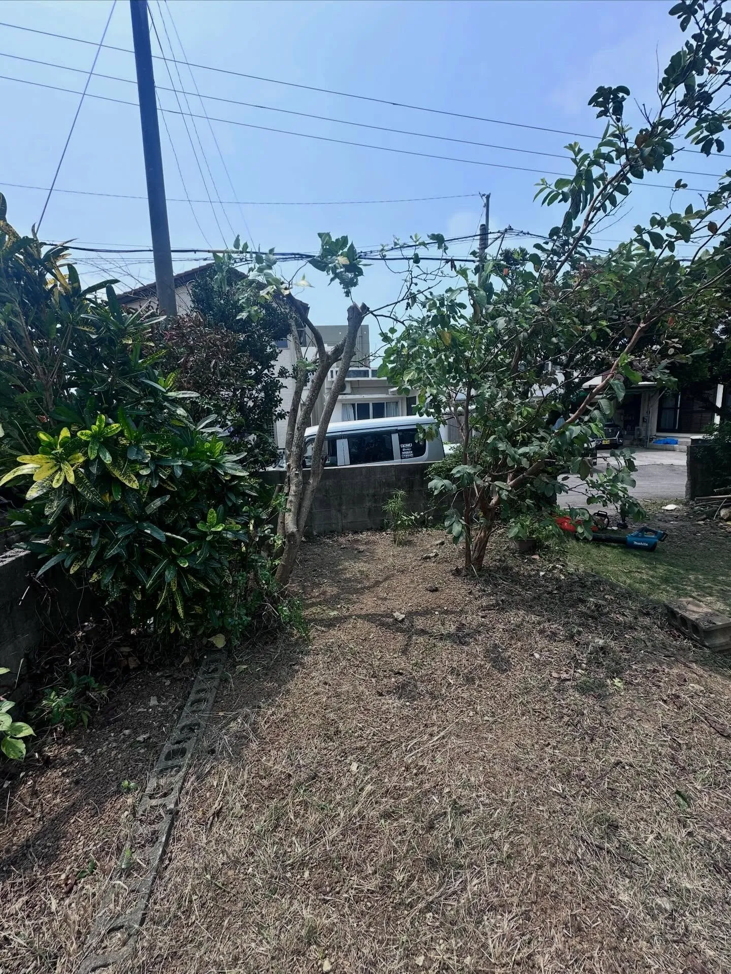 ご覧いただきありがとうございます