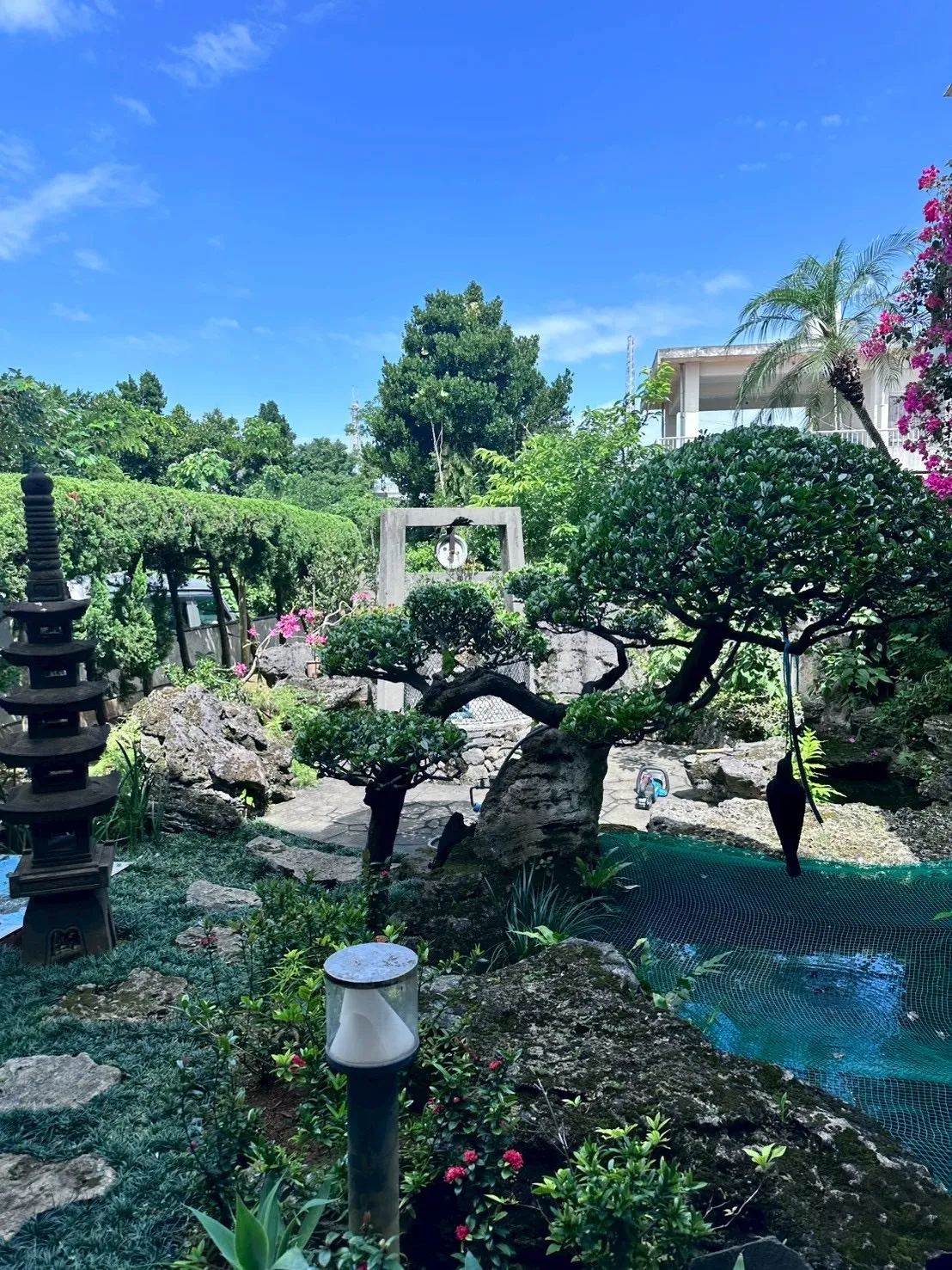 お庭定期管理　¥20,000
