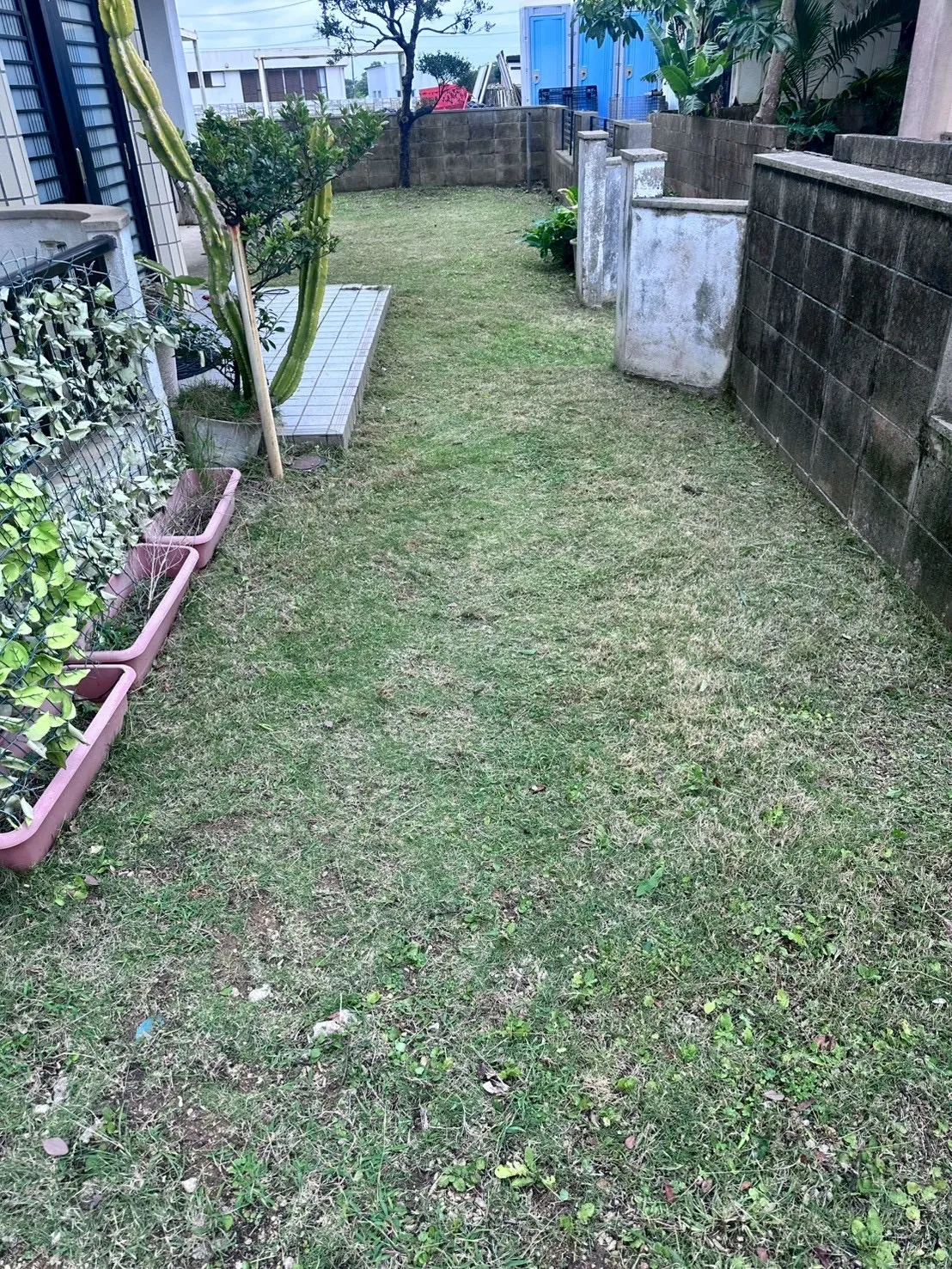 ご自宅のお庭定期清掃