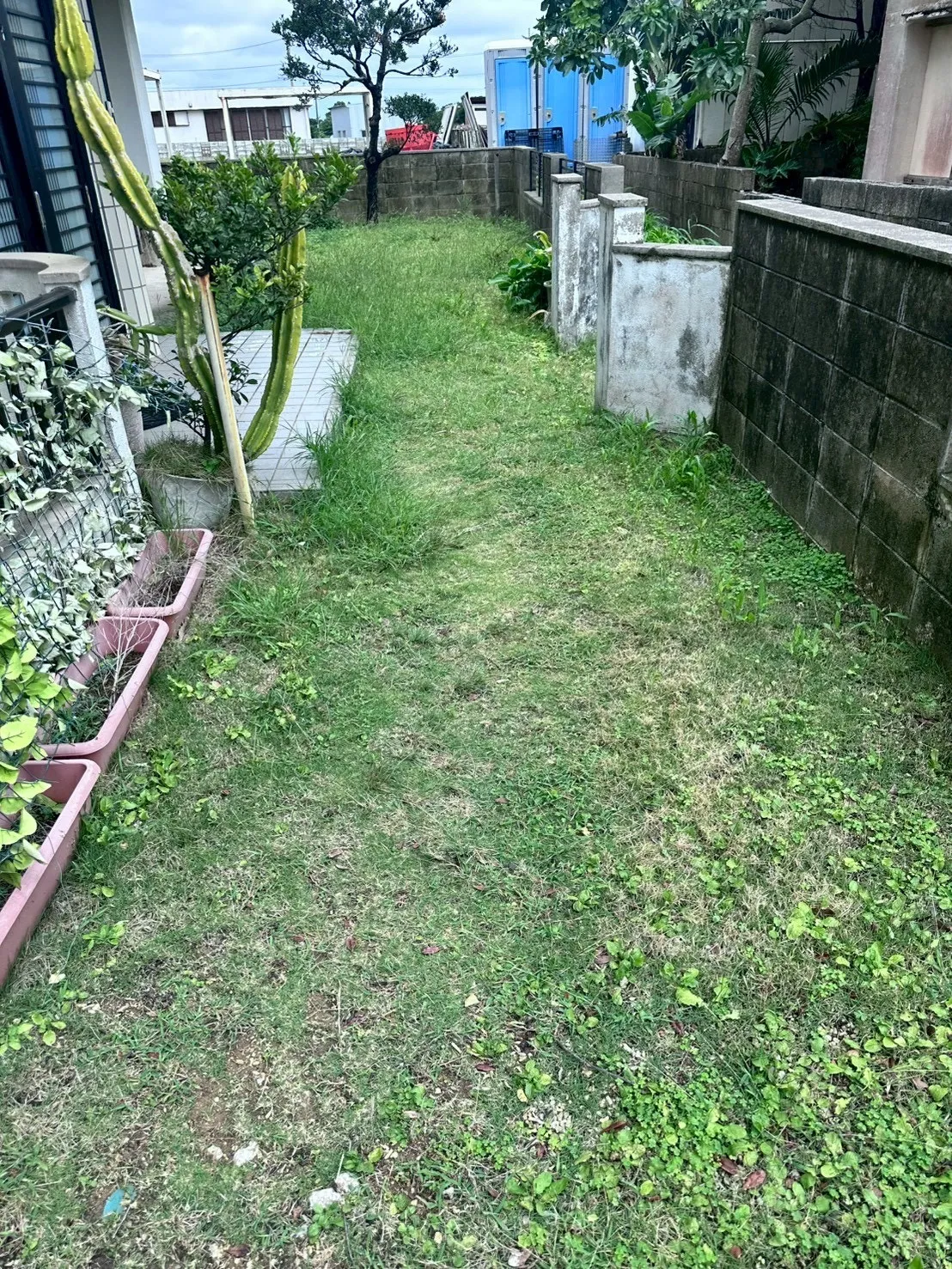 ご自宅のお庭定期清掃