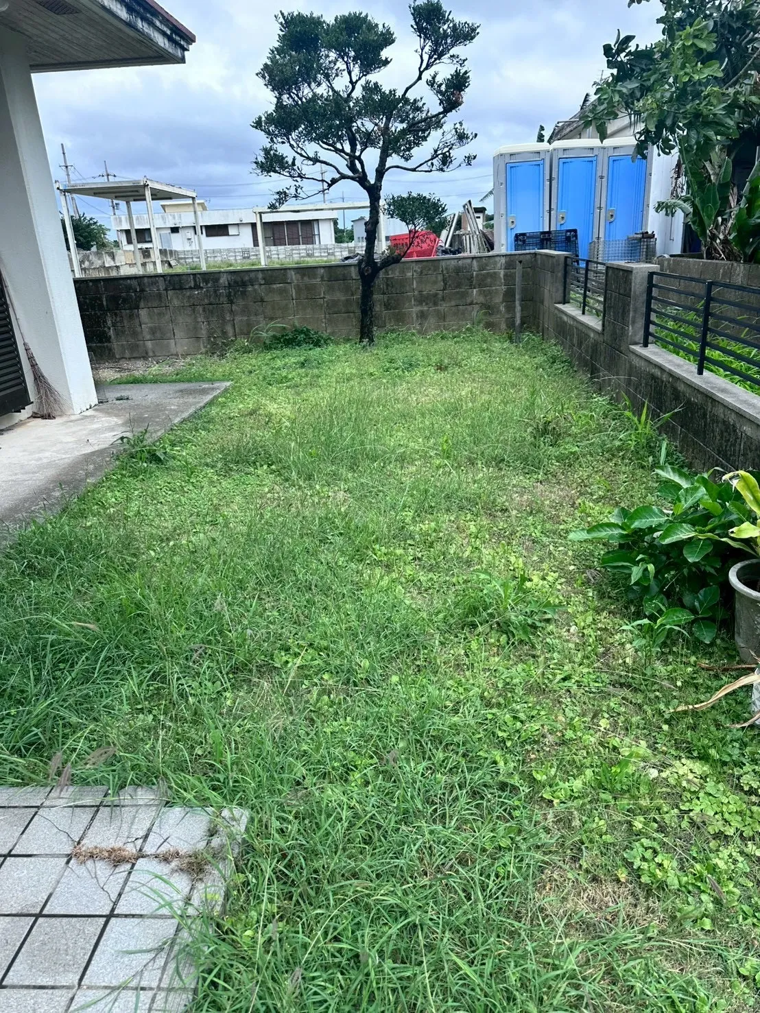 ご自宅のお庭定期清掃