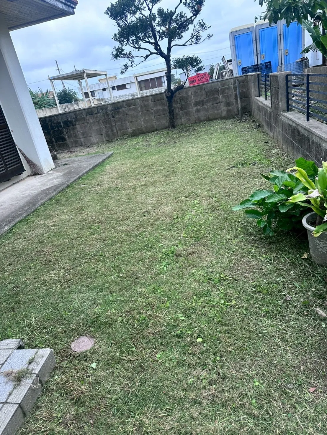 ご自宅のお庭定期清掃