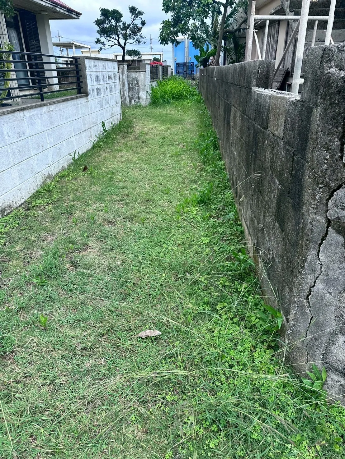 ご自宅のお庭定期清掃